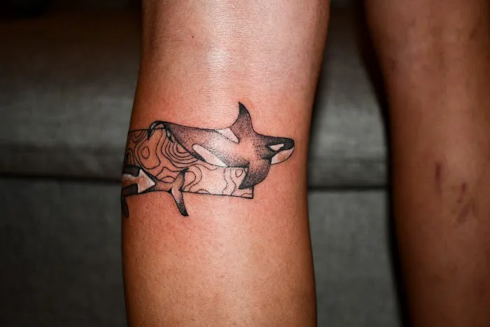 Harper Zimmer Ink 7