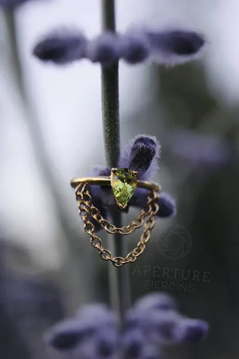 Aperture Body Arts Studio - Appointment Only 7