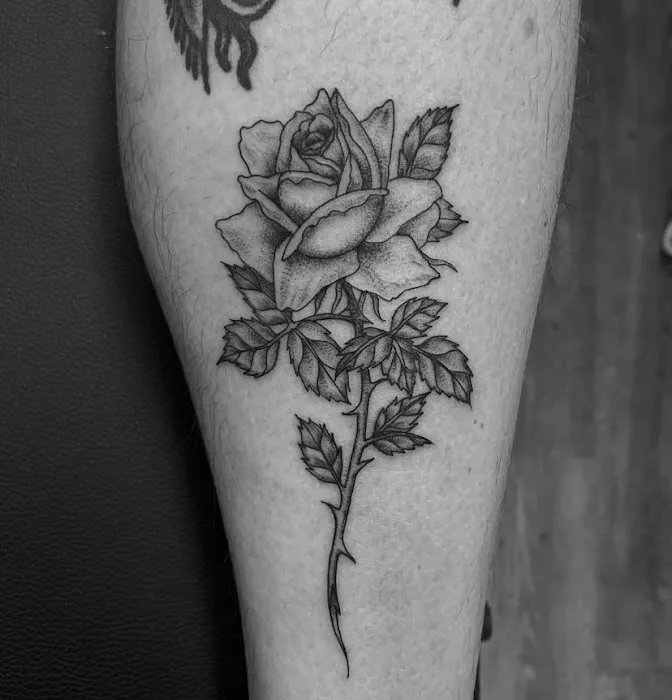 Nightshade®️ Tattoo 0
