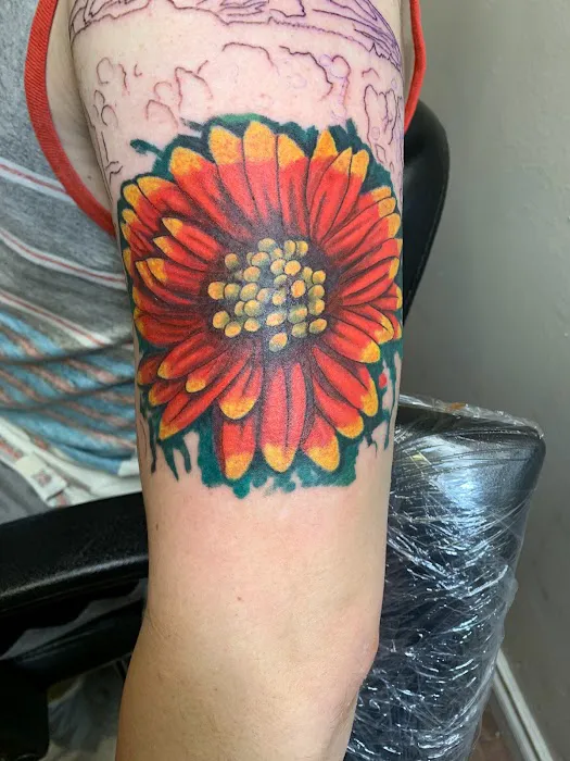 Dark Horse Tattoo 3