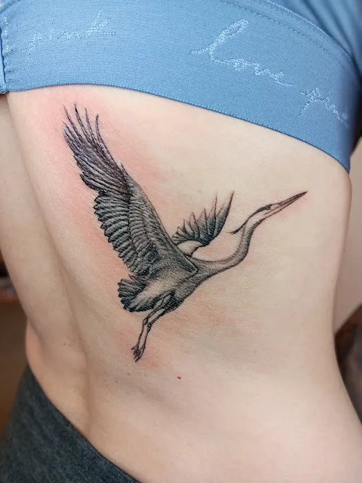 Anastasia Lotus Ink 6