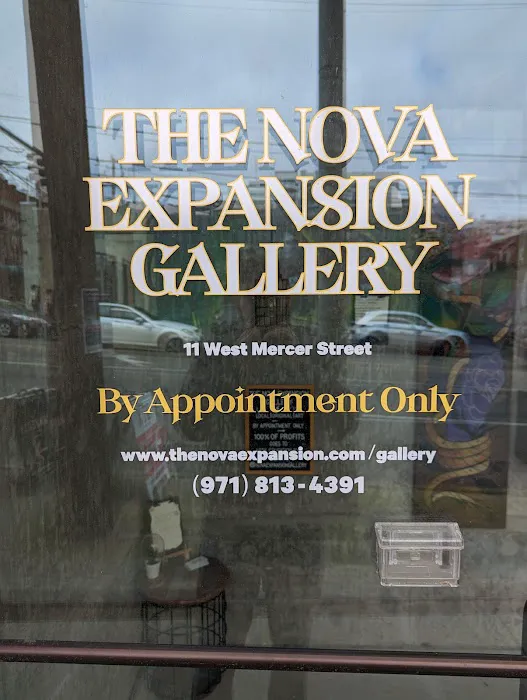 The Nova Expansion Gallery 6