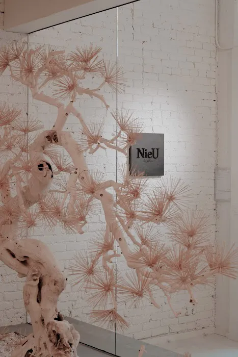 NieU Studio 5