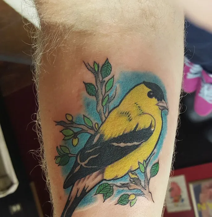 American Beauty Tattoo 3