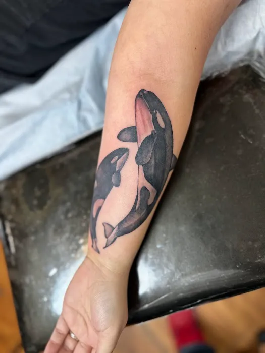 The Continental Tattoo Society 5