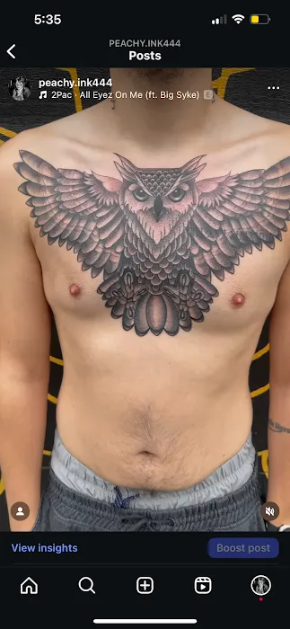Andromeda Ink 2