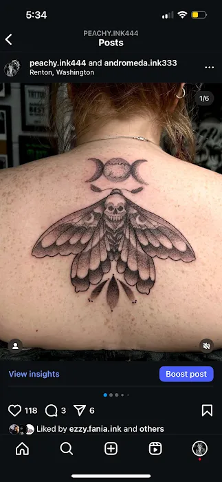 Andromeda Ink 1