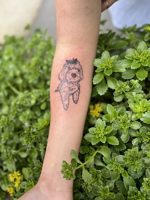 Petite Ink 7