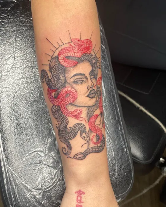 PRONOIA INK STUDIO 2