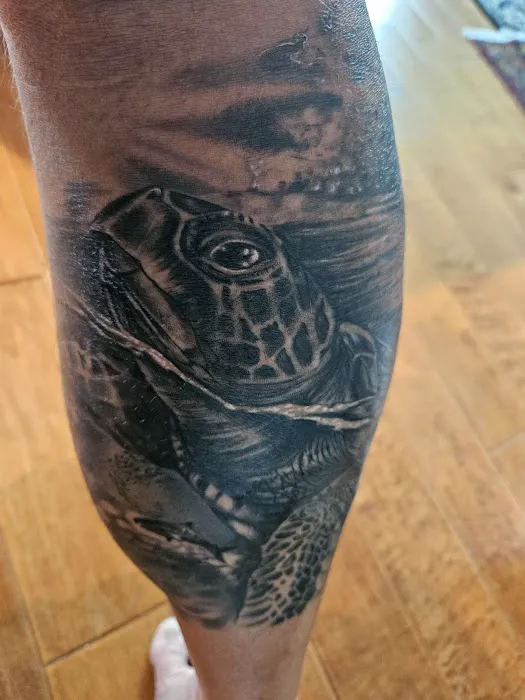Black Sheep Tattoo 1