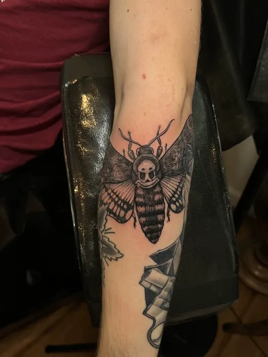 Black Sheep Tattoo 2