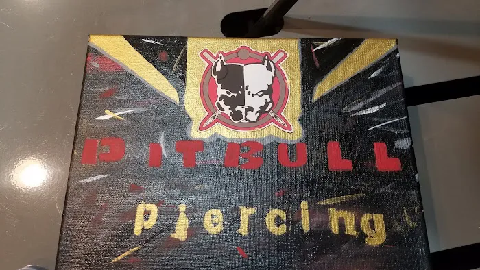 Pitbull Tattoo and Piercing Clinic 0