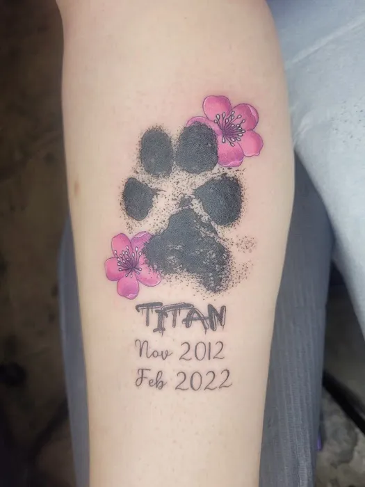 Ophidian Tattoo 6