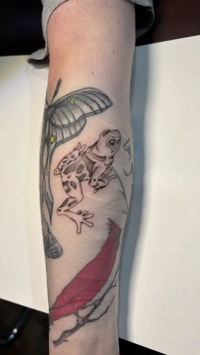 Mr. Shorty's Tattoo Emporium 6