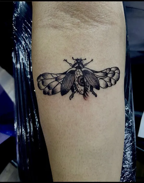 Studio 2.0 Ink 5