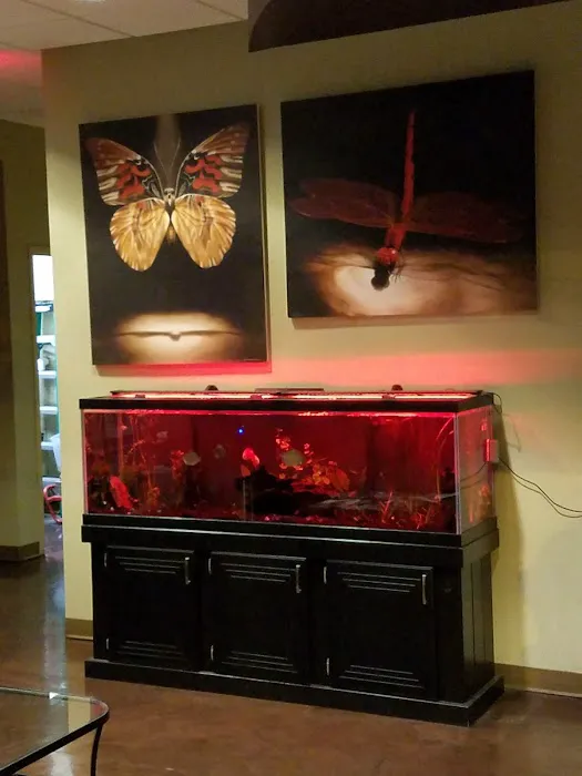 Karma Tattoo Studio 5