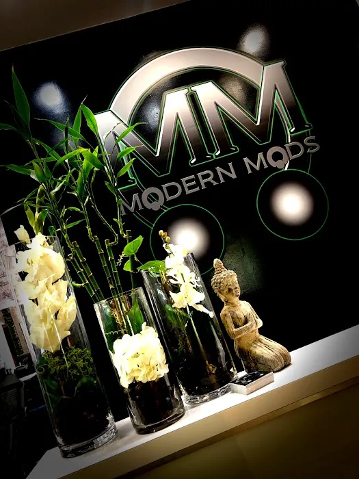 Modern Mods Body Piercings - Arrowhead 4