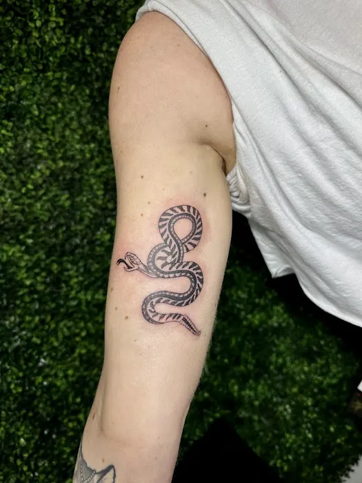 Delicate Ink 1