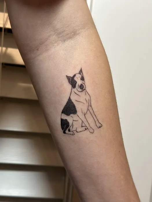 Delicate Ink 2