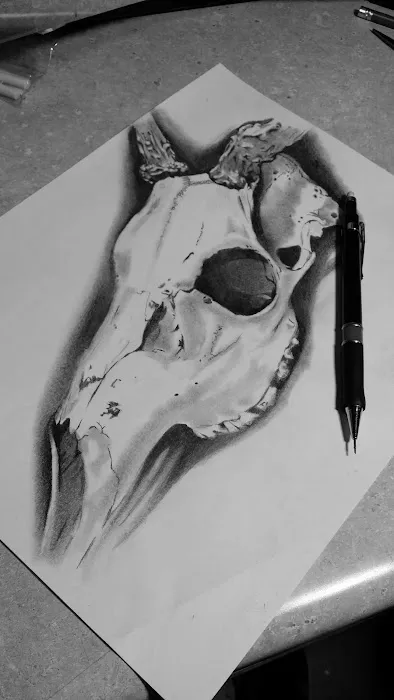 Dark Side Tattoo & Body Piercing 0
