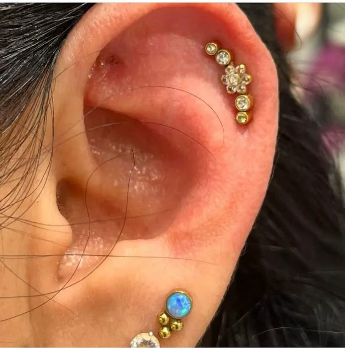 Piercings by Paloma & Mod studio since 2002 6