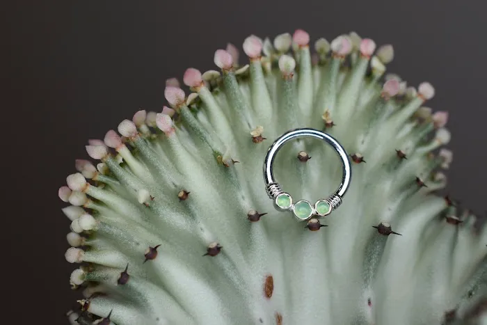 Wholehearted Body Piercing 0