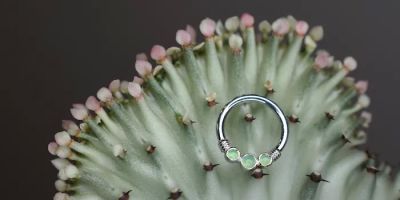 Wholehearted Body Piercing