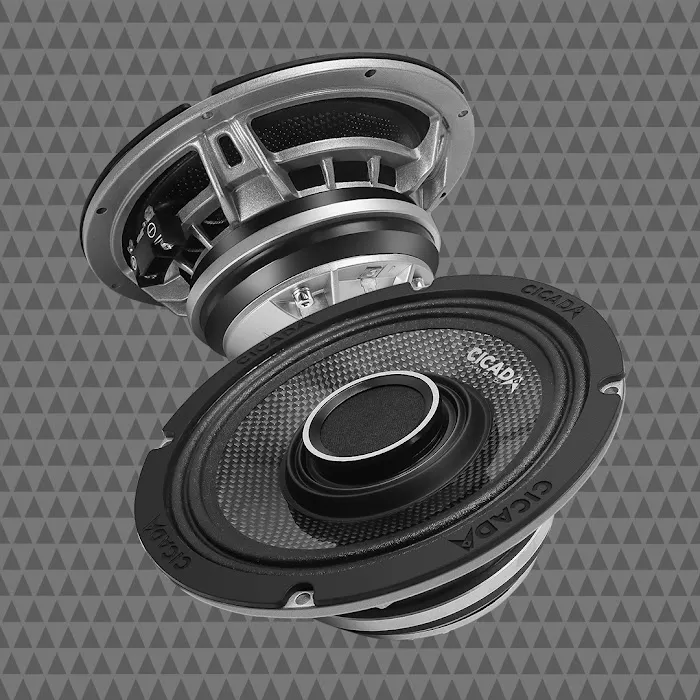 LS Custom Audio 8