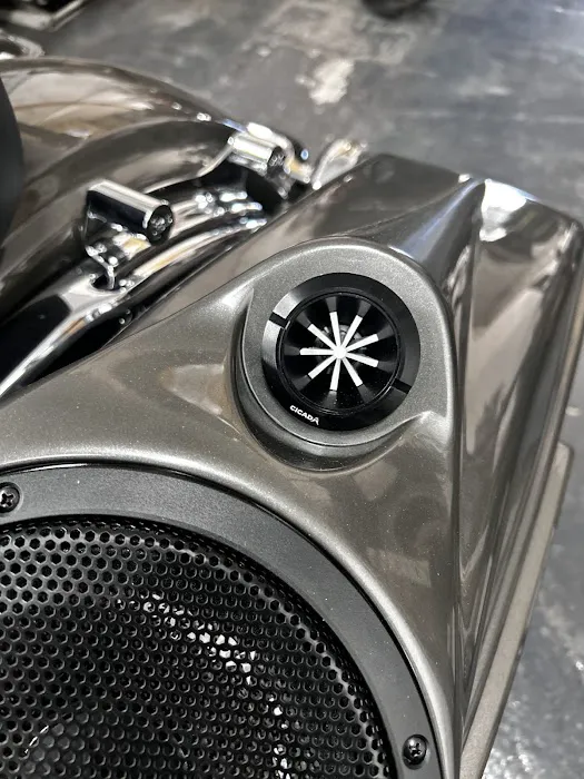 LS Custom Audio 1