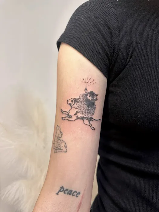 Ink Bunny Studio 8