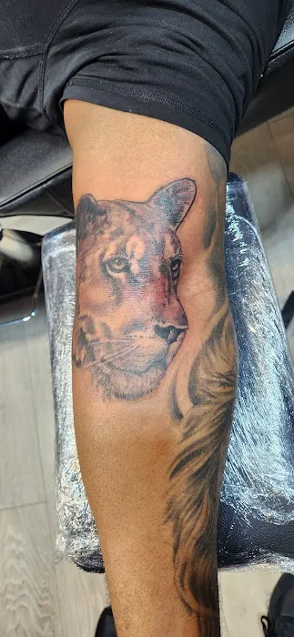 Midnight Tattoo Ink 1