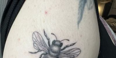 Midnight Ink Collective