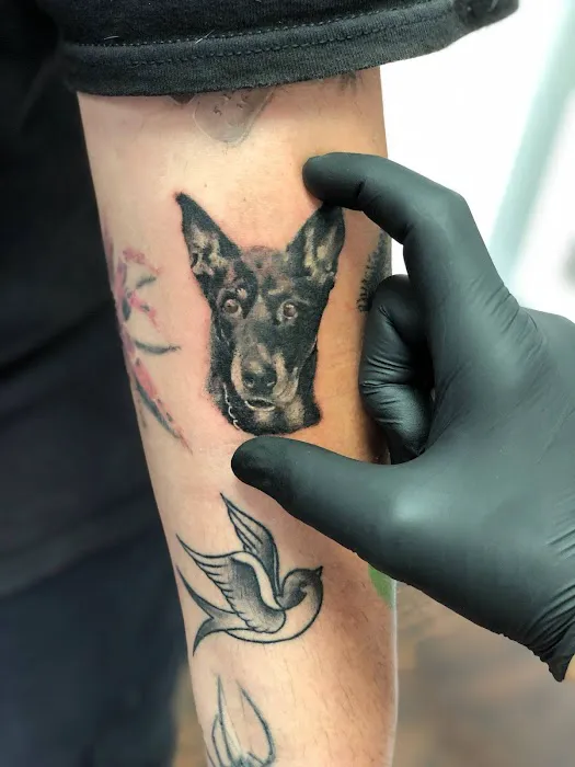 Sea of Ink Tattoo Studio 0