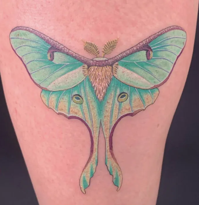 Dark Horse Tattoo Company 5