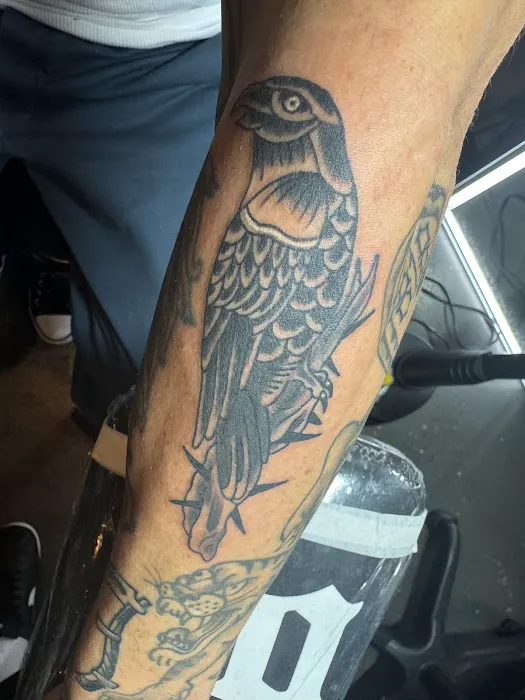 Tattoo Shack 7