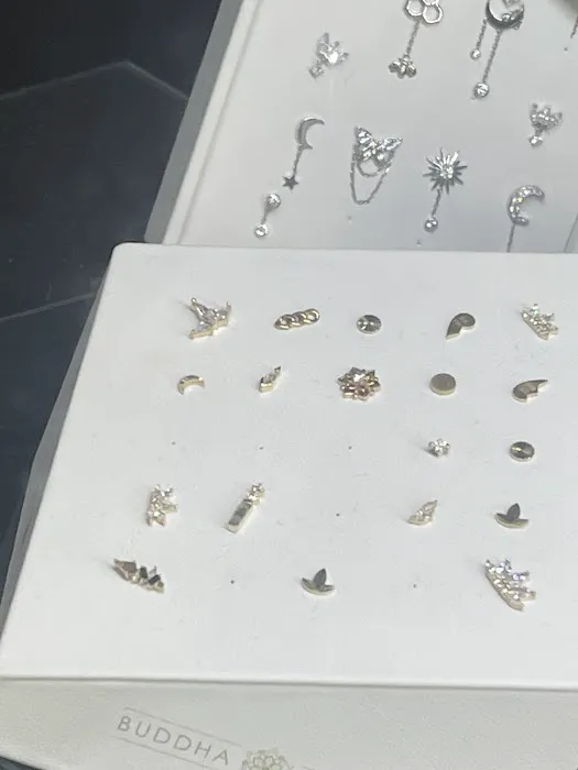 Modern Mods Body Piercings - Chandler 0