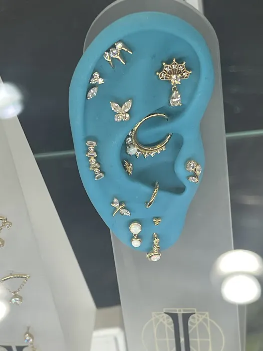 Modern Mods Body Piercings - Chandler 2