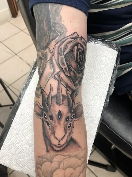 CISCO SKINART Tattoo Shop 1