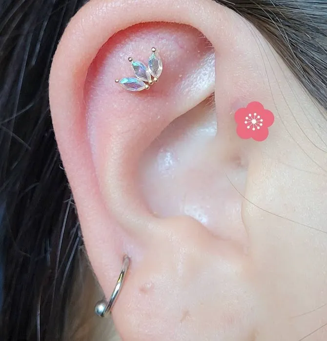 The Canvas Tattoo Studio 4