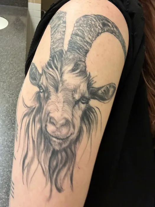 Bluebird Tattoo Co 0