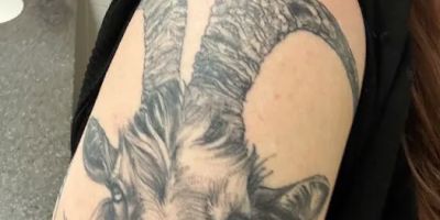 Bluebird Tattoo Co