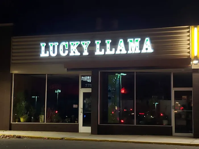 Lucky Llama Tattoo 5