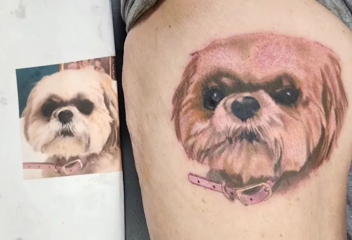 The Painted Lady Tattoo 6