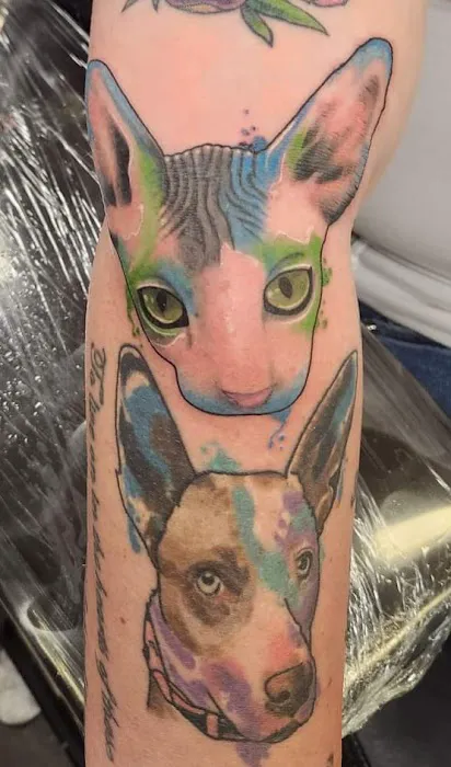 The Painted Lady Tattoo 2