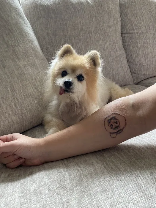 Red Lotus Tattoo 6