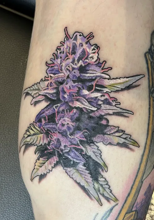 Misguided Angel Tattoo Studio 8