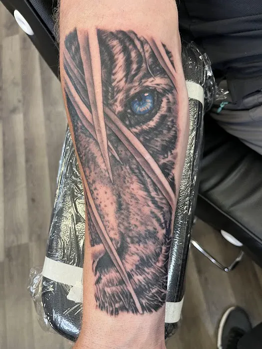 Misguided Angel Tattoo Studio 4
