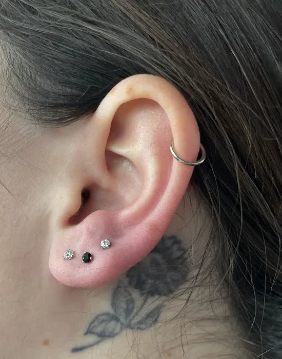 Golden Cobra Tattoo & Piercing 8
