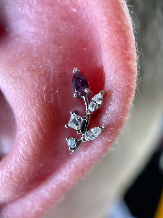 Wingnut Tattoo & Piercing Studio 1