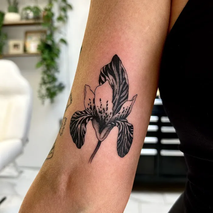Rooted Ink 6
